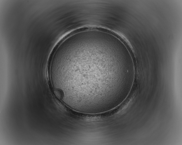 X0000088160887200705221558