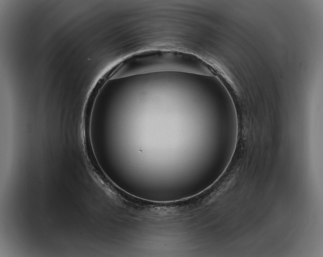 X0000088160888200705221558
