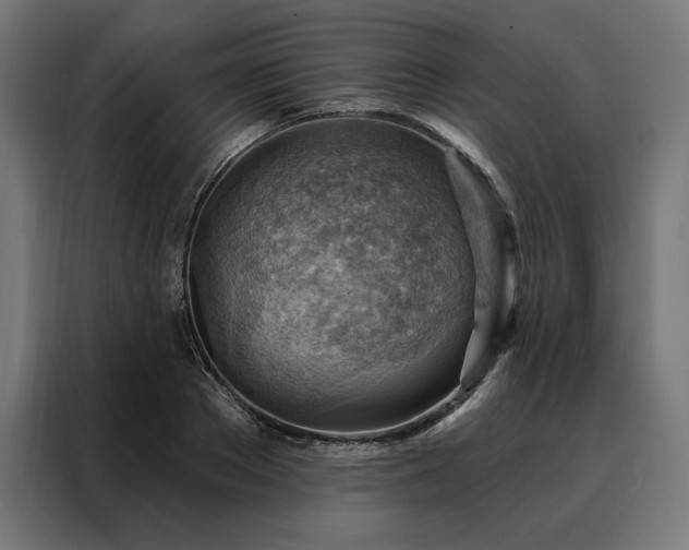 X0000088160889200705221558