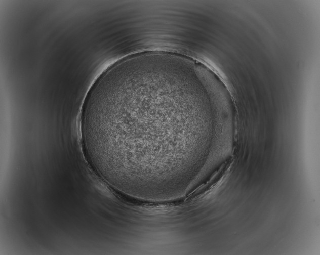 X0000088160891200705221558