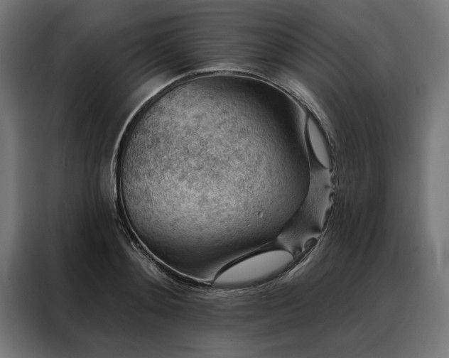 X0000088160892200705221558