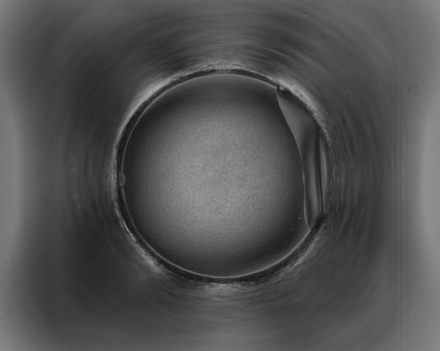 X0000088160894200705221558