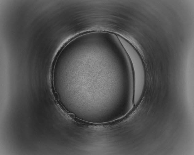 X0000088160896200705221558