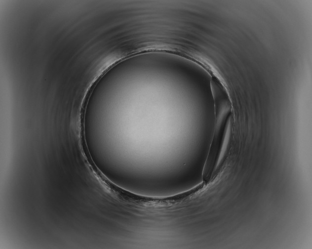 X0000088160898200705221558
