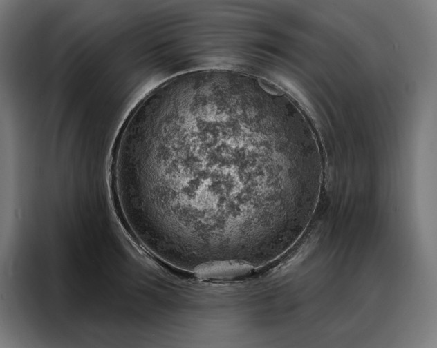 X0000088160899200705221558