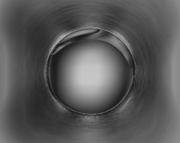 X0000088160901200705221558