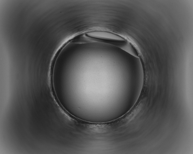 X0000088160902200705221558