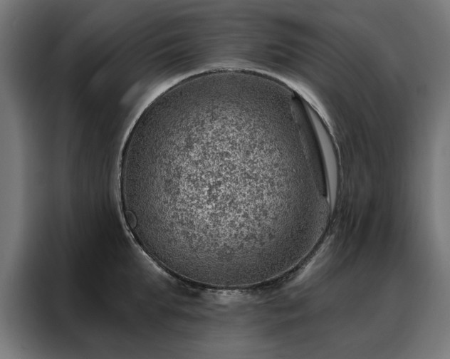 X0000088160903200705221558