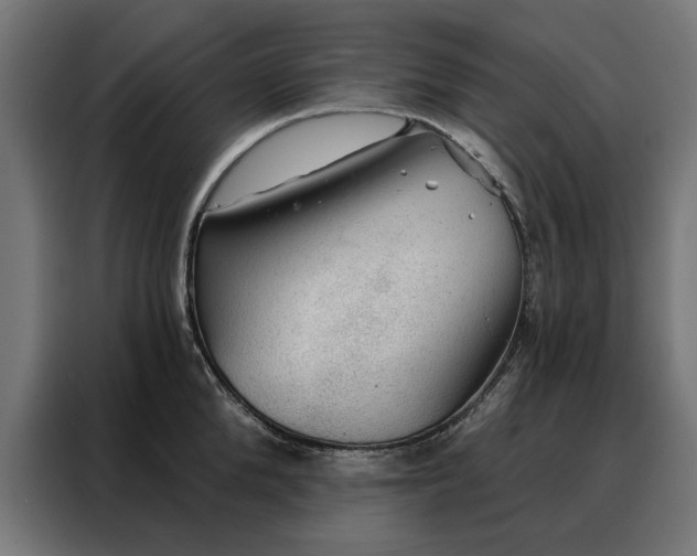 X0000088160904200705221558