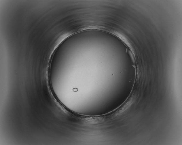 X0000088160906200705221558