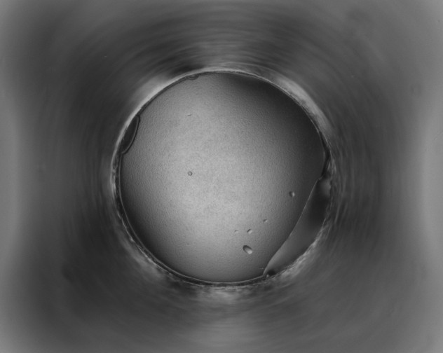 X0000088160908200705221558