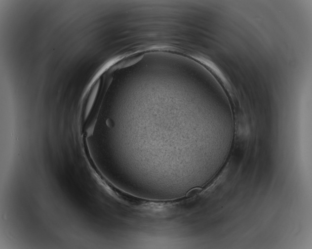 X0000088160910200705221558
