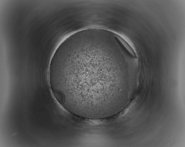X0000088160911200705221558
