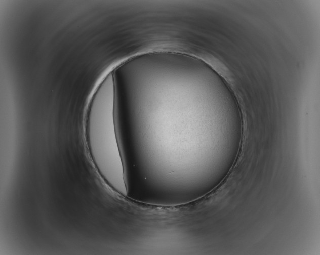 X0000088160912200705221558