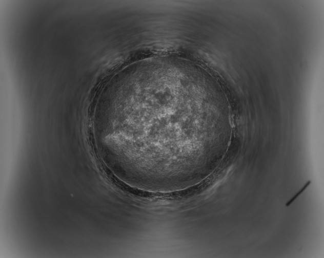 X0000088160913200705221557