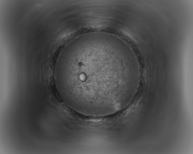 X0000088160917200705221557