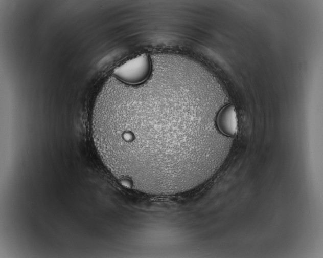 X0000088160918200705221557