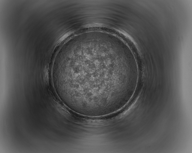 X0000088160921200705221558