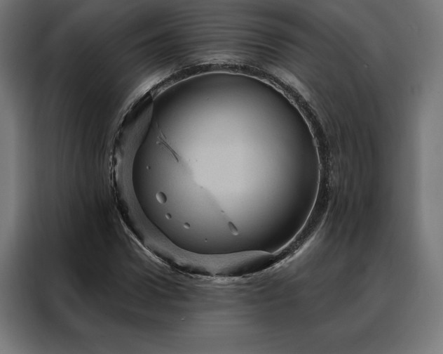 X0000088160922200705221558