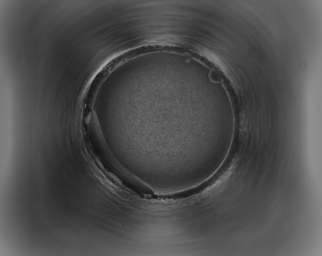 X0000088160923200705221558
