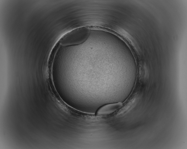X0000088160924200705221558