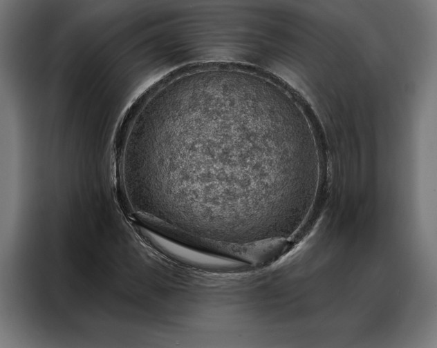 X0000088160925200705221558