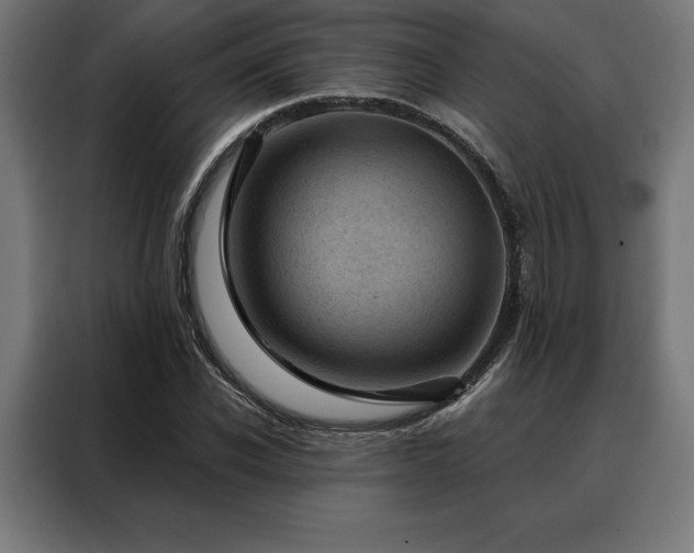 X0000088160926200705221558