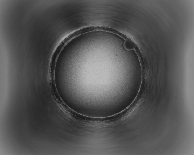 X0000088160927200705221558