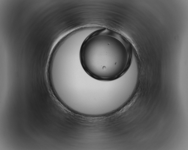 X0000088160928200705221558