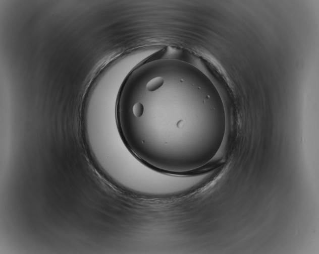 X0000088160930200705221558