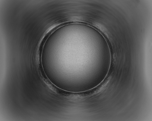 X0000088160931200705221558