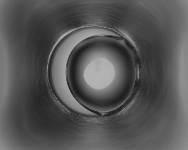 X0000088160932200705221558