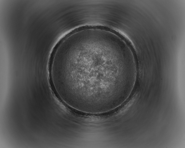 X0000088160935200705221558
