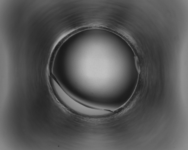 X0000088160936200705221558