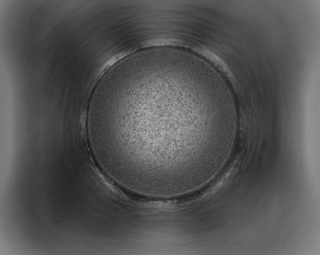 X0000088160937200705221558