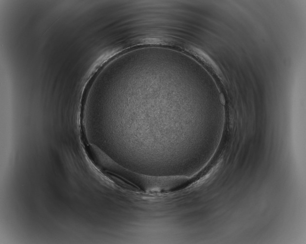 X0000088160938200705221558