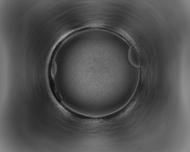 X0000088160939200705221558