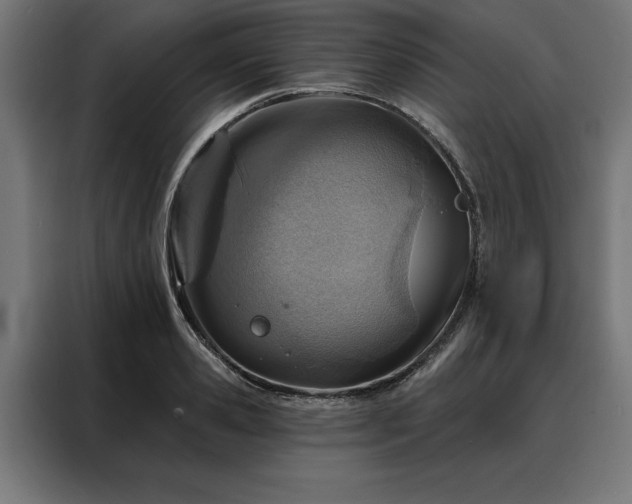 X0000088160941200705221558