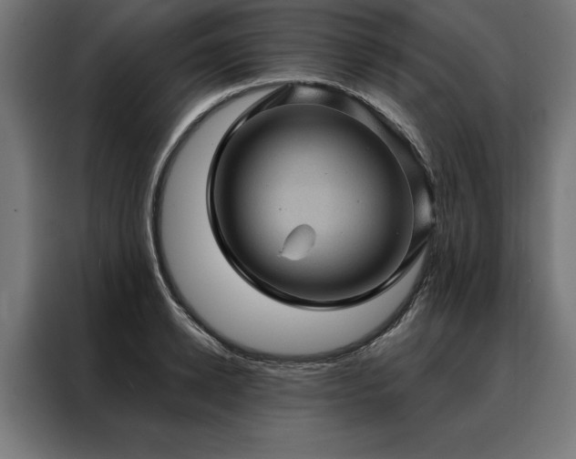 X0000088160942200705221558