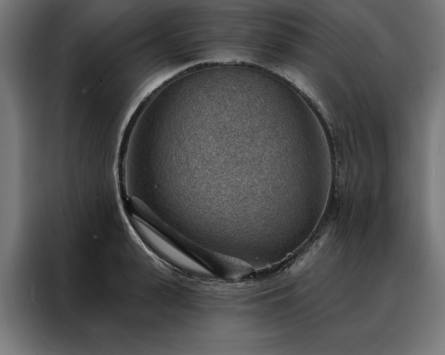 X0000088160943200705221558