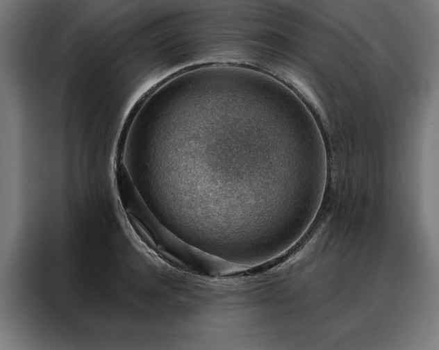 X0000088160944200705221558