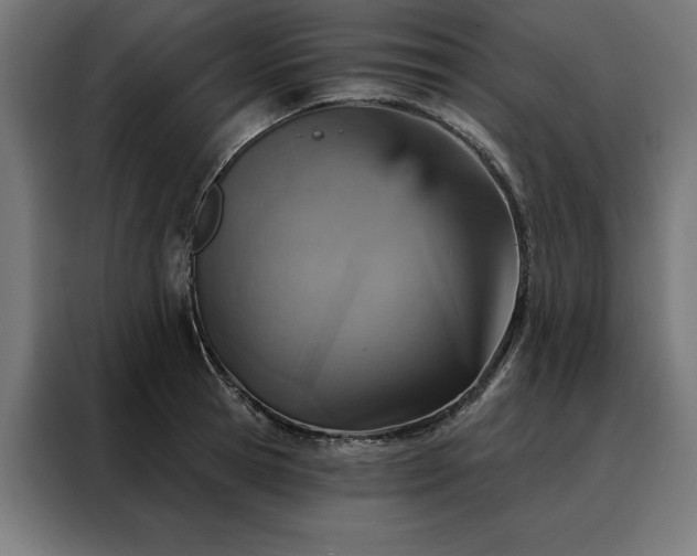 X0000088160945200705221558