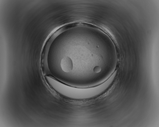 X0000088160948200705221558