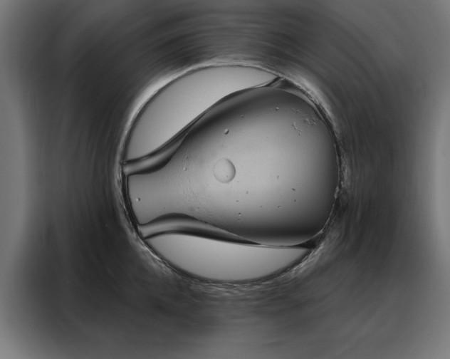 X0000088160952200705221558