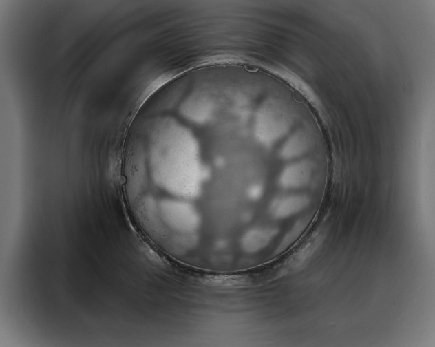 X0000088160953200705221558