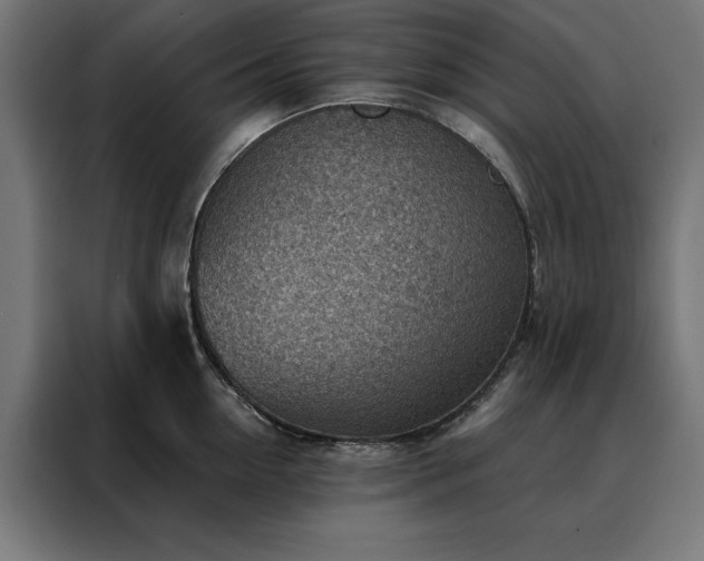 X0000088160954200705221558