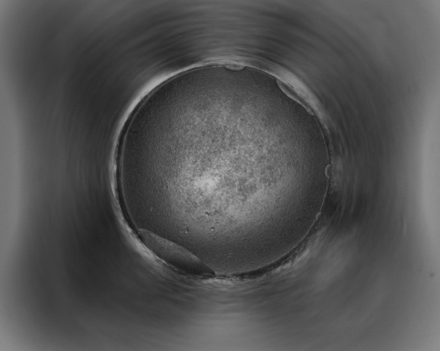 X0000088160955200705221558