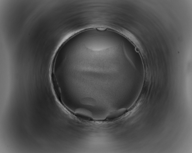 X0000088160958200705221558