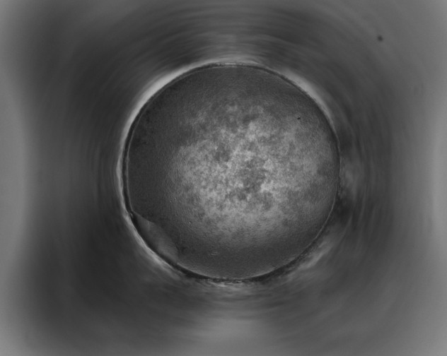 X0000088160959200705221558