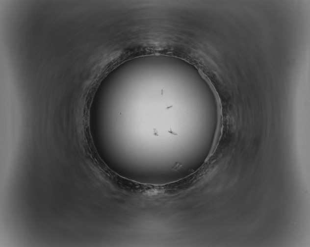 X0000088160961200705221557